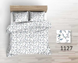1127 N.jpg