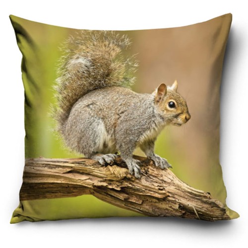 Poszewka 40x40 cm z realistycznym zdjęciem szarej wiewiórki siedzącej na grubej, suchej gałęzi, na tle rozmytego lasu. Wzór obustronny.