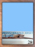 Prześcieradło jersey z gumką 220X200 - kolor 28 - błękitne
