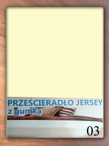 PRJ-03.jpg