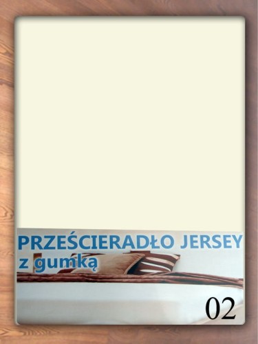 PRJ-02.jpg